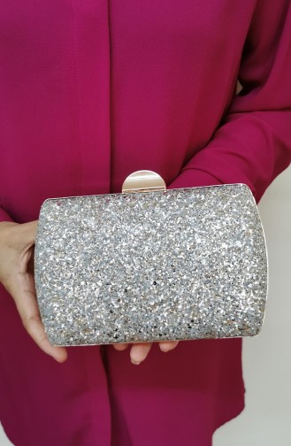 Silver Gray Portfolio Hand Bag 275110-208