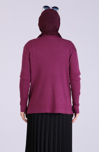 Purple Sweater 0533-03