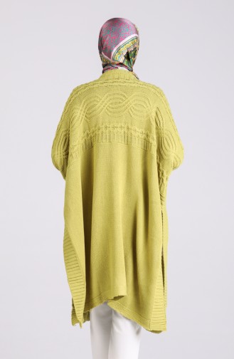 Pistachio Green Poncho 1921-11