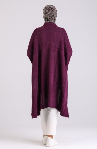 Lila Poncho 1921-12