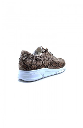Brown Sneakers 8103-07