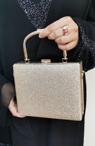 Golden Portfolio Clutch 294107-207