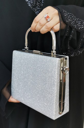 Silver Gray Portfolio Clutch 294107-208