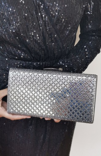 Platin Portfolio Handtasche 502125-209