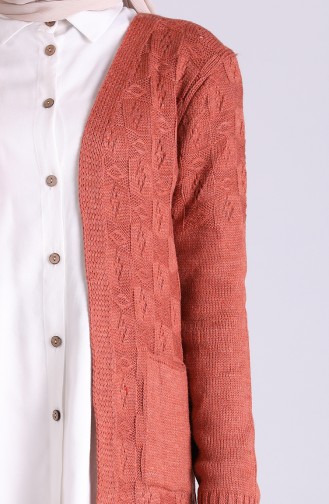 Brick Red Cardigans 5023-04