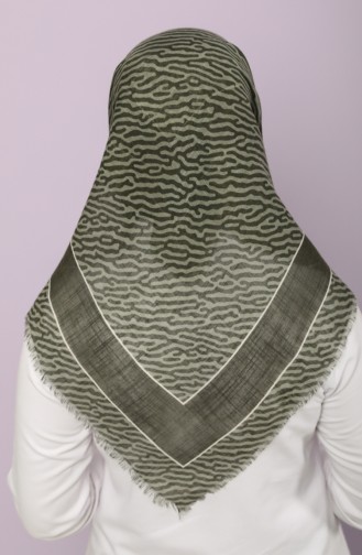 Khaki Scarf 2656-09