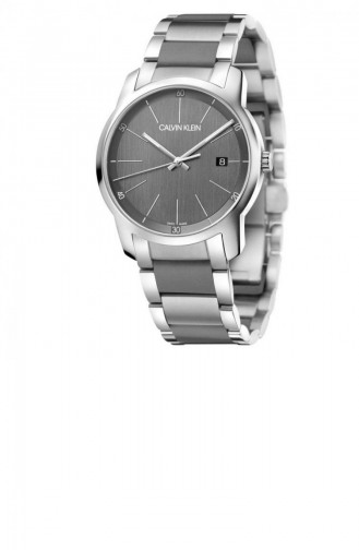 Silver Gray Horloge 2G2G1P4