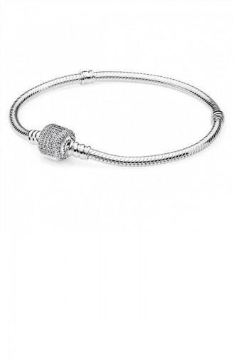 Bracelet Gris argenté 590723-20