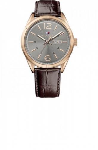Brown Wrist Watch 1791058