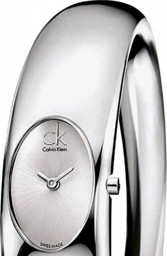 Silver Gray Wrist Watch 1Y22120