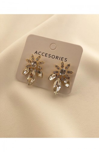 Gold Earrings 0153