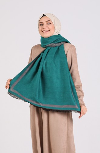 Ponchos Vert 43800-05