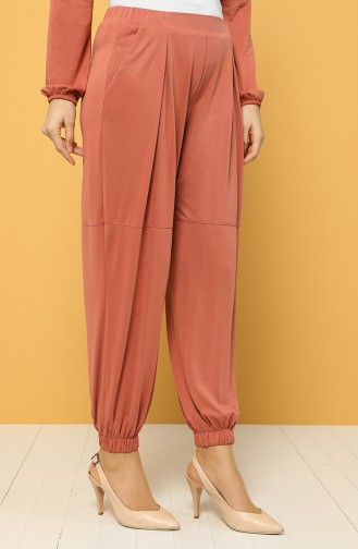 Pantalon Couleur brique 2185-04