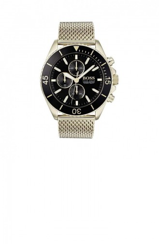 Montre Gris argenté 1513703
