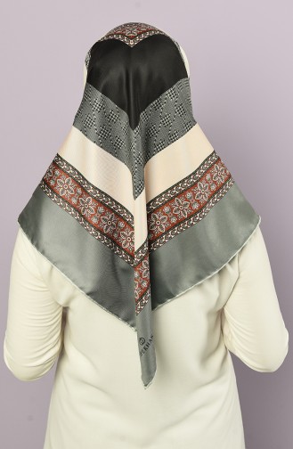 Khaki Scarf 6200-12