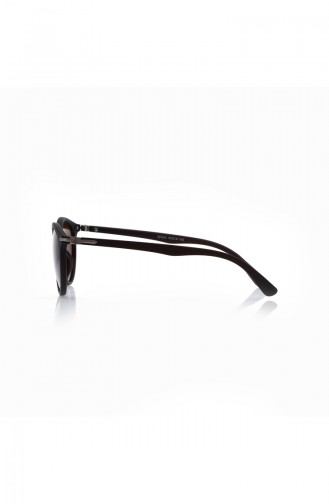 Brown Sunglasses 2012-3-C202