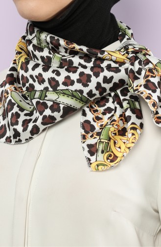 Foulard Couleur Brun 61778-01