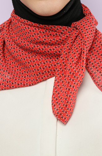 Red Scarf 61772-01