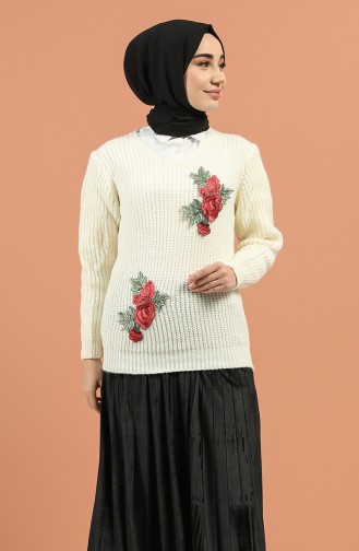 Knochen-Farbe Pullover 1197-04