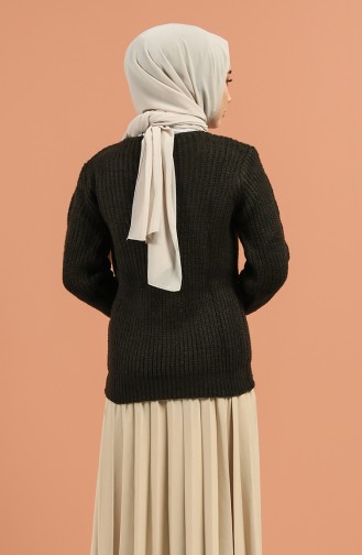 Dark Brown Sweater 1197-07