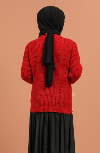 Rot Pullover 1198-04