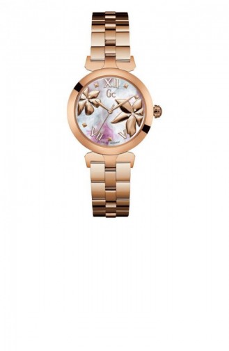 Bronze Wrist Watch 22003L3