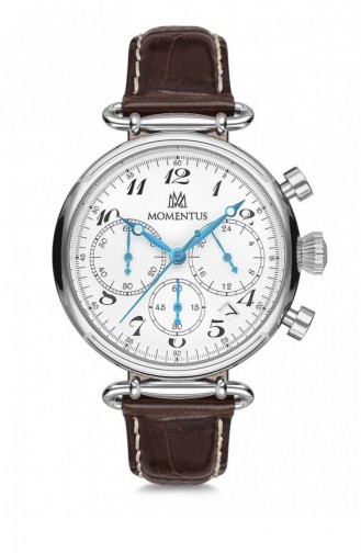 Brown Wrist Watch 250S-02KS