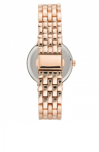 Rose Tan Wrist Watch 2402SVRG