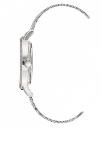 Silver Gray Wrist Watch 2505FLSV