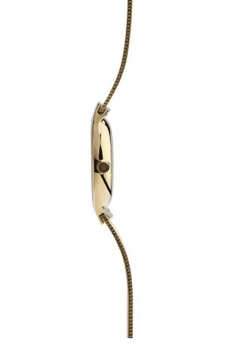 Gold Wrist Watch 166LXGIMG