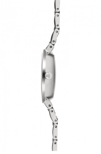 Silver Gray Wrist Watch 183LXCISC