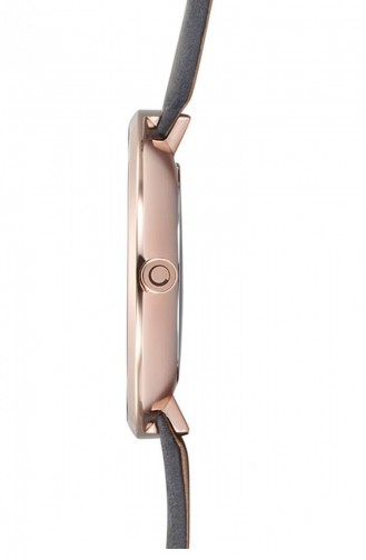 Smoke-Colored Wrist Watch 185LXVJRJ
