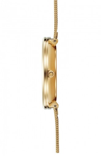 Gold Wrist Watch 211LXGIMG