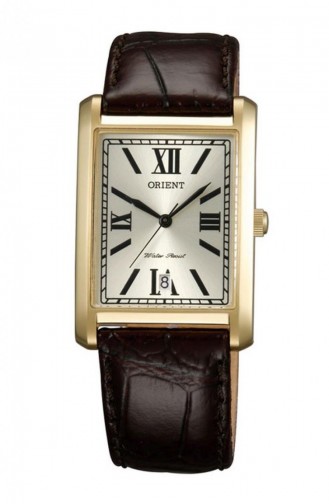 Dark Brown Wrist Watch 002C0
