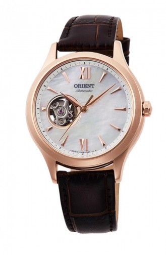 Brown Wrist Watch 0022A10B