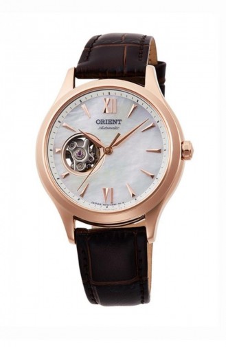 Brown Wrist Watch 0022A10B