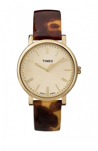 Brown Wrist Watch 2P237
