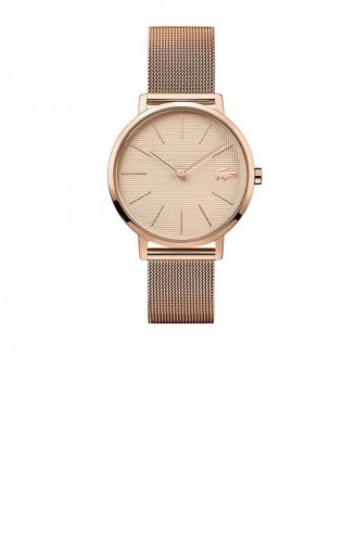 Montre Couleur bronze 2001080