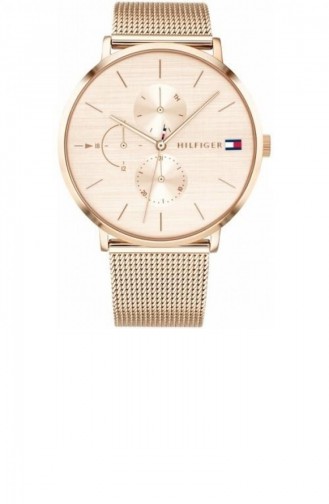 Montre Couleur bronze 1781944