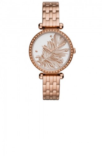 Bronze Wrist Watch 3593