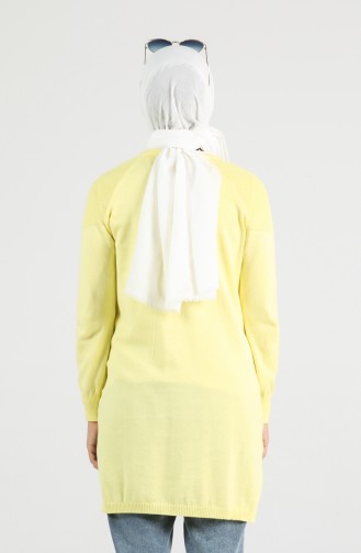 Pull Jaune 0548-07