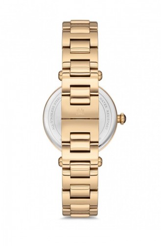 Gold Wrist Watch 376G-02SG