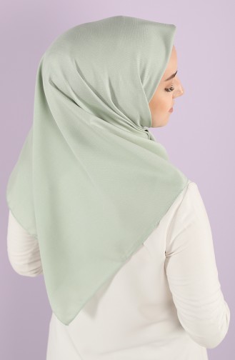 Green Almond Scarf 15217-10