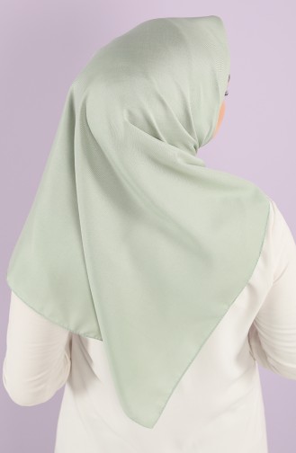 Green Almond Scarf 15217-10