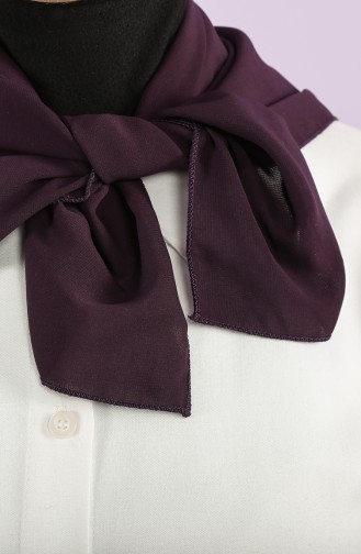 Dark Purple Foulard 61809-01