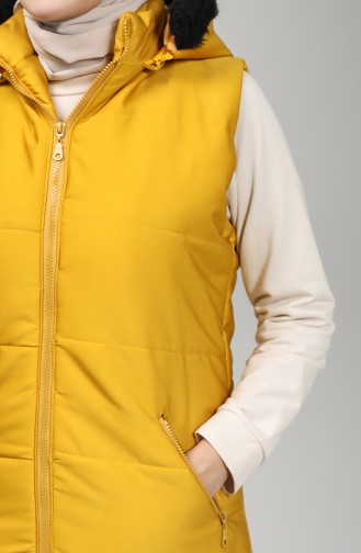 Mustard Waistcoats 1053-01