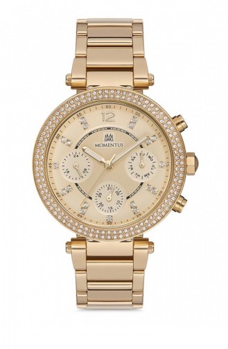 Momentus Ss220g 07sg Women s Watch 220G-07SG