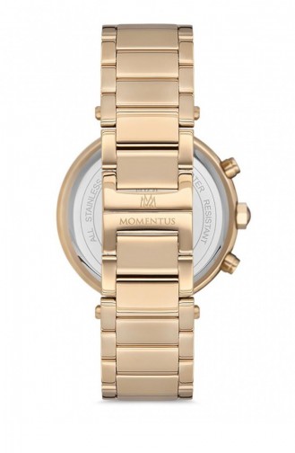 Momentus Ss220g 07sg Women s Watch 220G-07SG