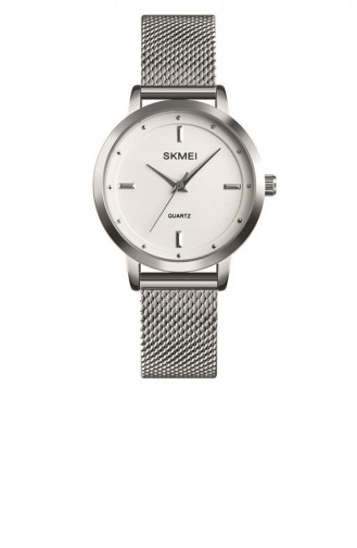 Montre Gris argenté 1528SI