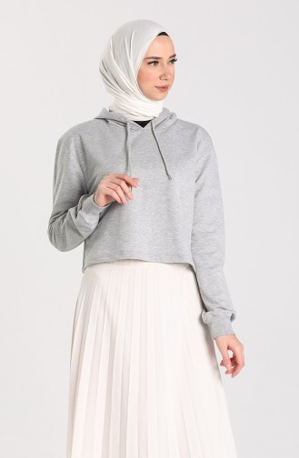 Gray Sweatshirt 29665-03